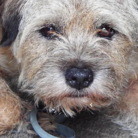 Les Cerisiere Nocleg ze śniadaniem 4*