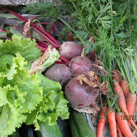 Les Cerisiere 4* Cheffois