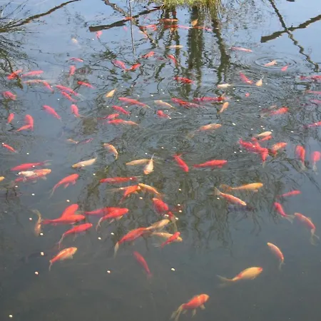 Les Cerisiere 4* Cheffois