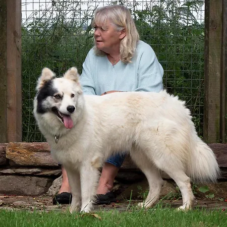 Nocleg ze śniadaniem Les Cerisiere