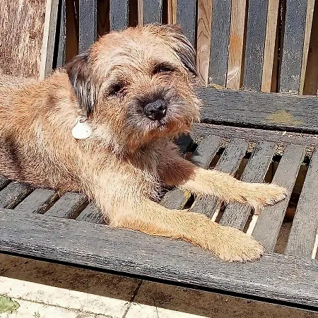 Les Cerisiere Nocleg ze śniadaniem Cheffois