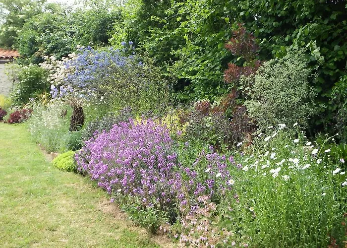 Les Cerisiere 4* Cheffois