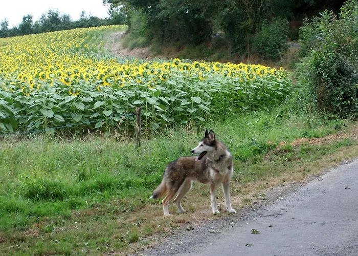 Bed and Breakfast Les Cerisiere Cheffois
