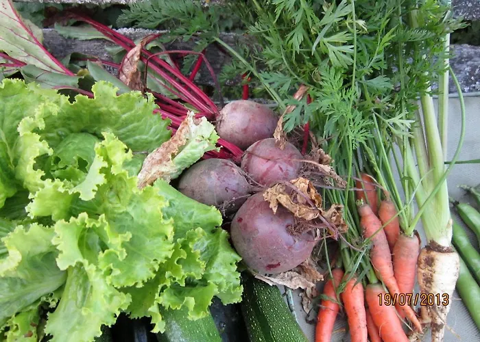 Les Cerisiere 4* Cheffois