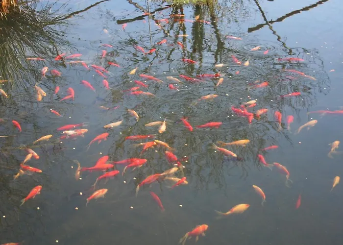 Les Cerisiere 4* Cheffois